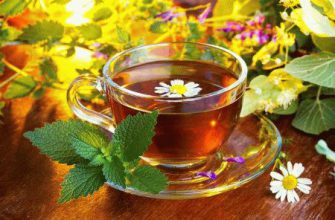 Состав и свойства белорусского монастырского чая от простатита, цены и отзывы
